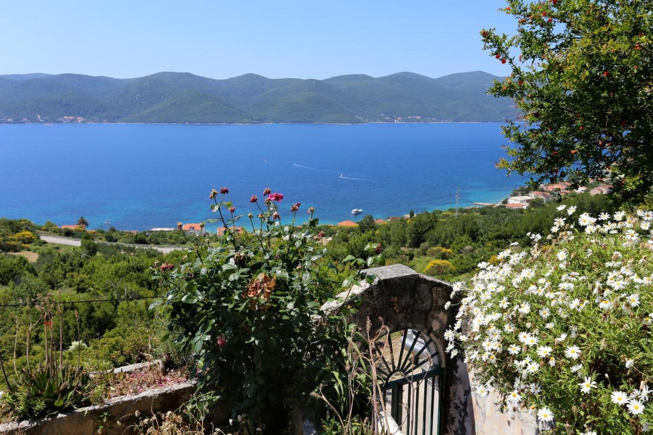Holiday House With A Parking Space Viganj - Podac, Peljesac - 10141 Buitenkant foto
